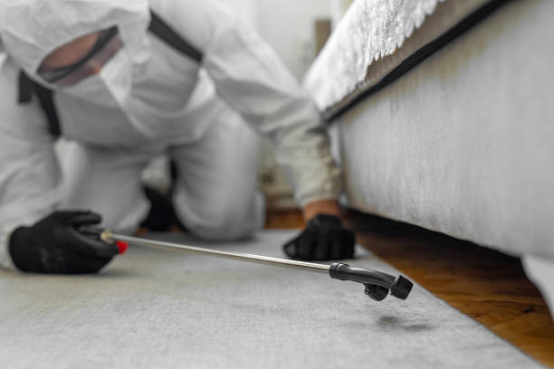 Professional Termite Control technician working in Clarence Center, NY