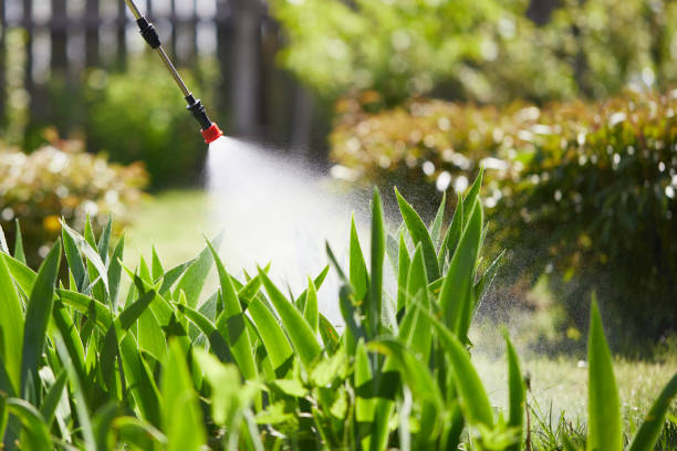24/7 Emergency Termite Control experts in Clarence Center, NY