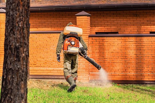 Trusted Emergency Pest Control service in Clarence Center, NY - Nex Pest Control